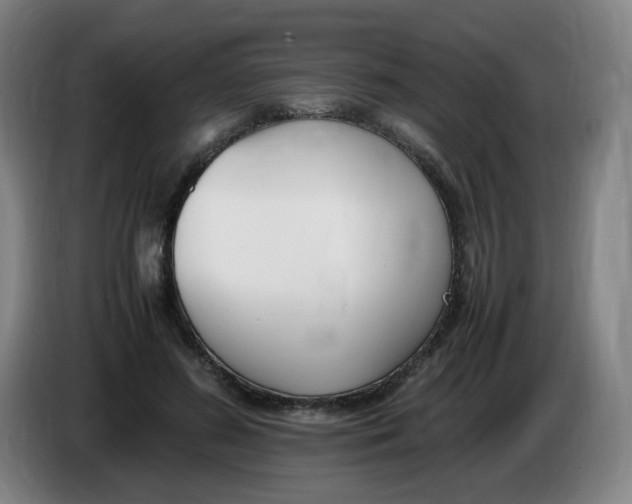 X0000086340596200704202102