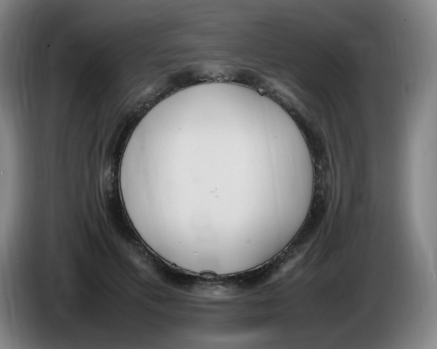 X0000086340597200704202102