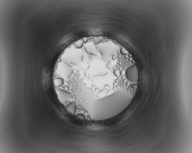 X0000086340598200704202102