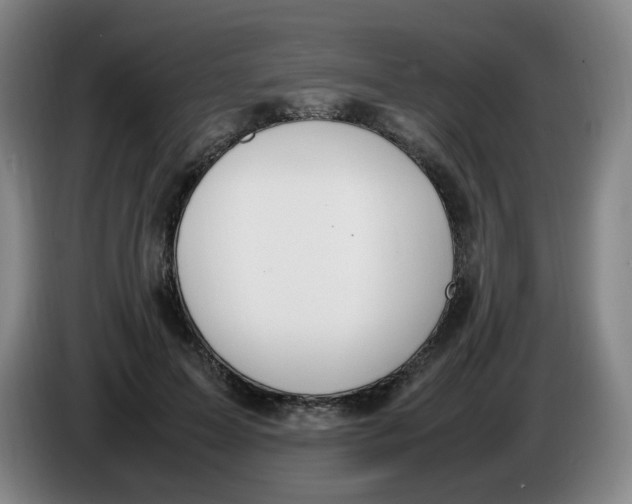 X0000086340599200704202102