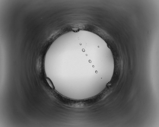 X0000086340600200704202102