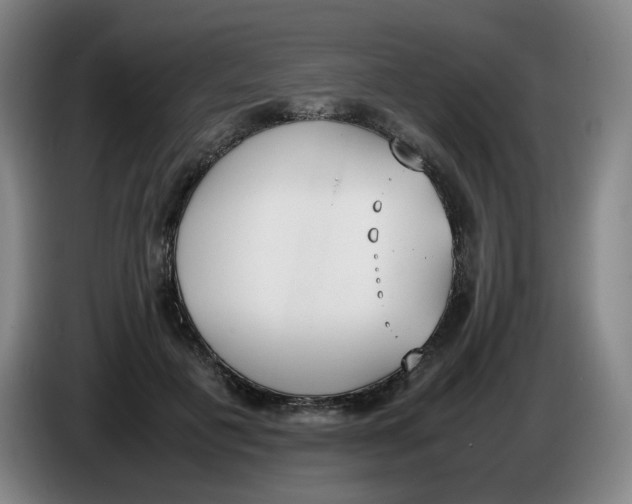X0000086340601200704202102