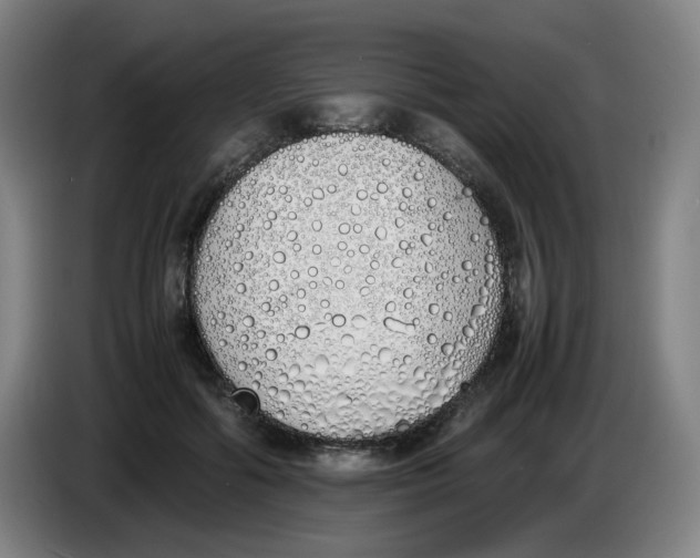 X0000086340602200704202102