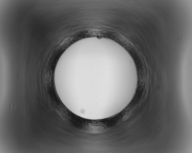 X0000086340603200704202102