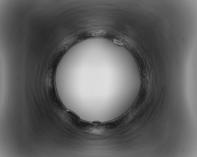 X0000086340604200704202102