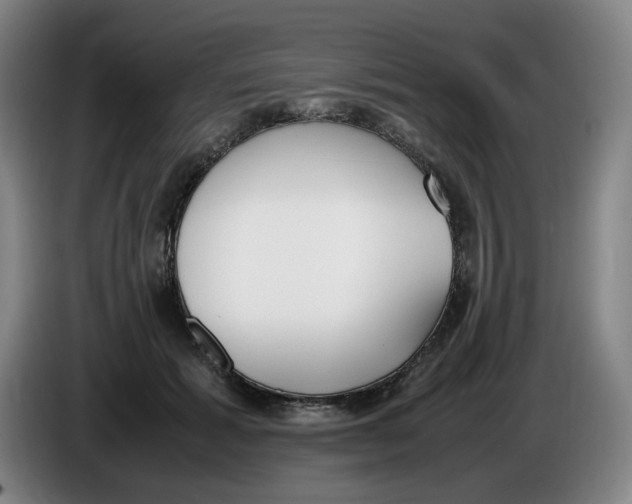 X0000086340605200704202102