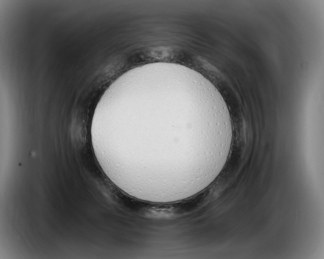 X0000086340606200704202102