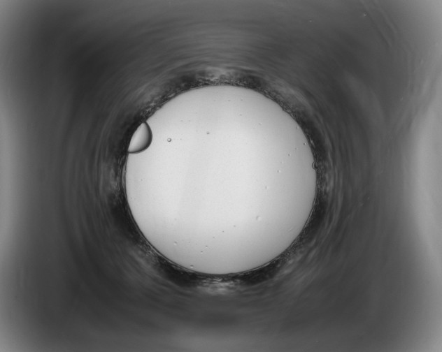X0000086340607200704202102