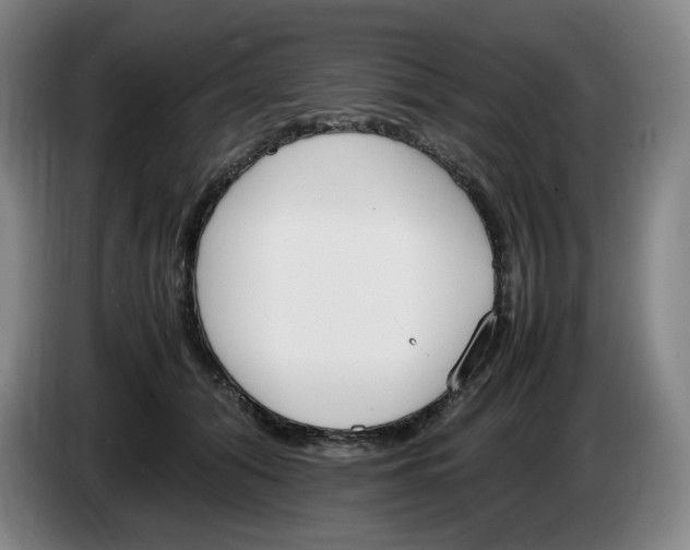 X0000086340608200704202102