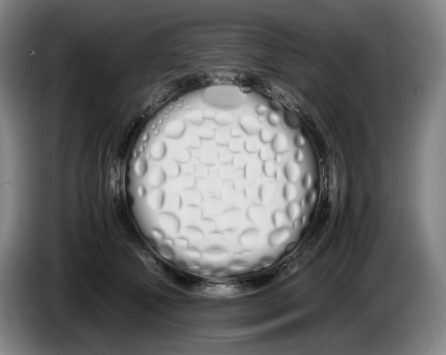 X0000086340610200704202102