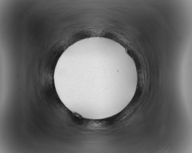 X0000086340613200704202102