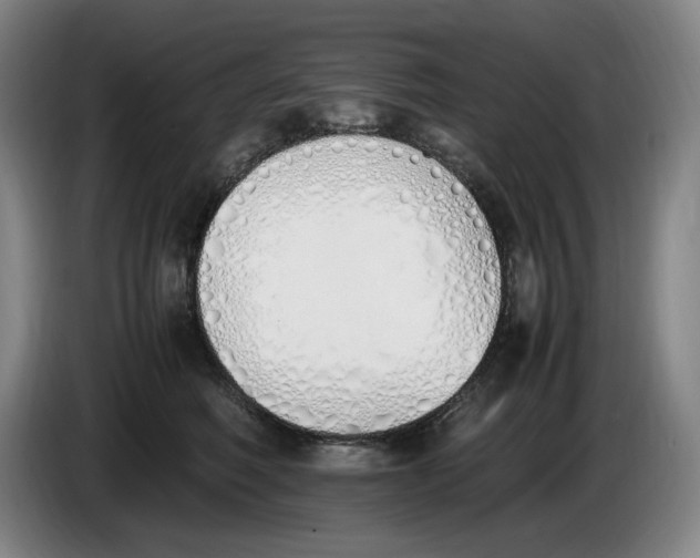 X0000086340614200704202102