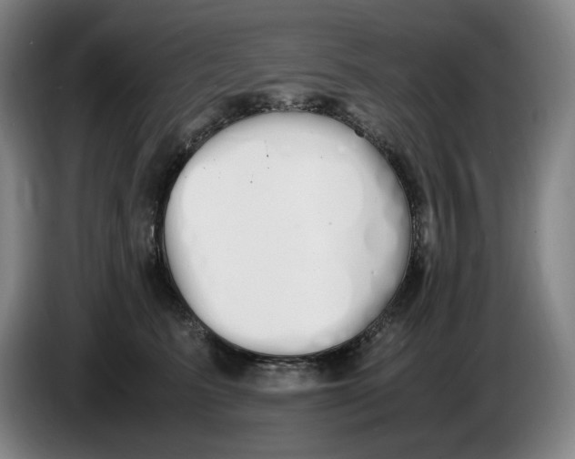 X0000086340615200704202102