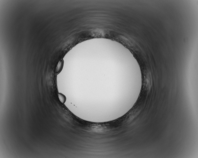 X0000086340616200704202102