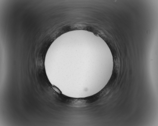 X0000086340617200704202102