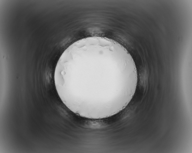 X0000086340618200704202102