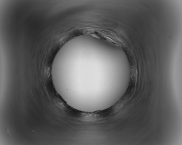 X0000086340621200704202102