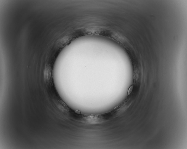 X0000086340623200704202102