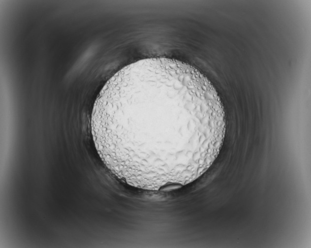 X0000086340624200704202102