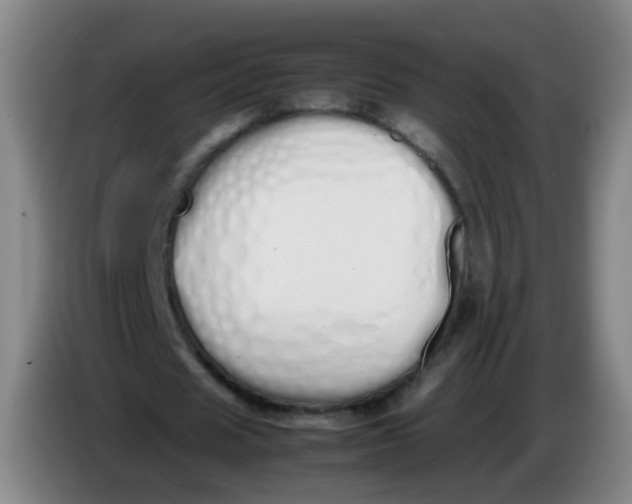 X0000086340625200704202102