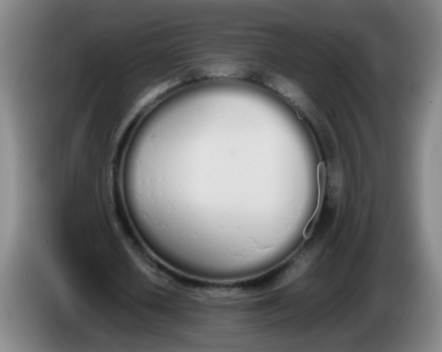 X0000086340626200704202102