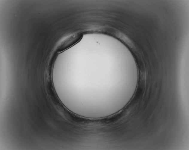 X0000086340628200704202102