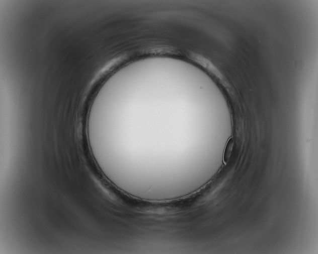 X0000086340629200704202102