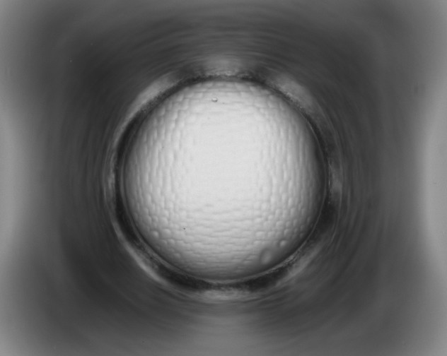 X0000086340630200704202102