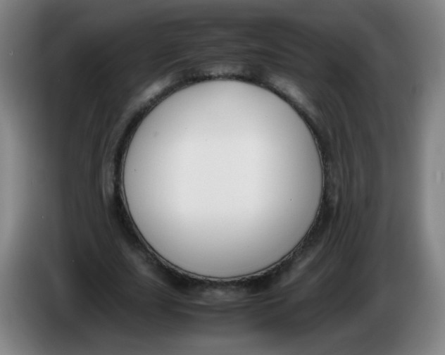 X0000086340631200704202102