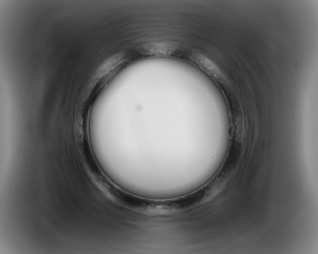 X0000086340634200704202102