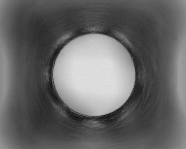 X0000086340635200704202102