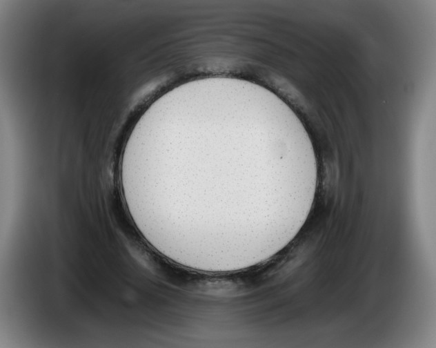 X0000086340636200704202102
