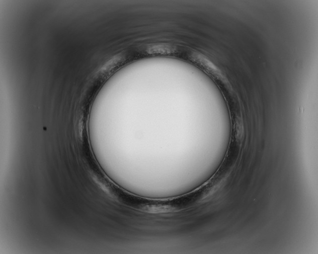 X0000086340637200704202102