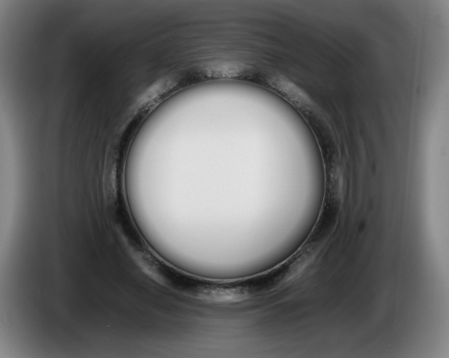 X0000086340638200704202102