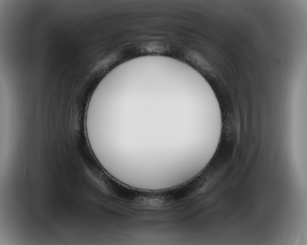 X0000086340639200704202102
