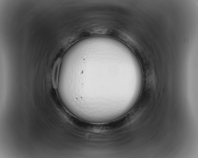 X0000086340641200704202102