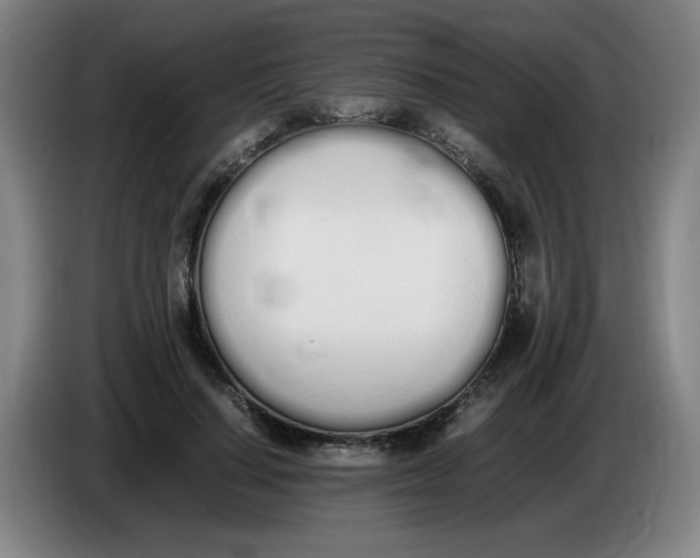 X0000086340644200704202102
