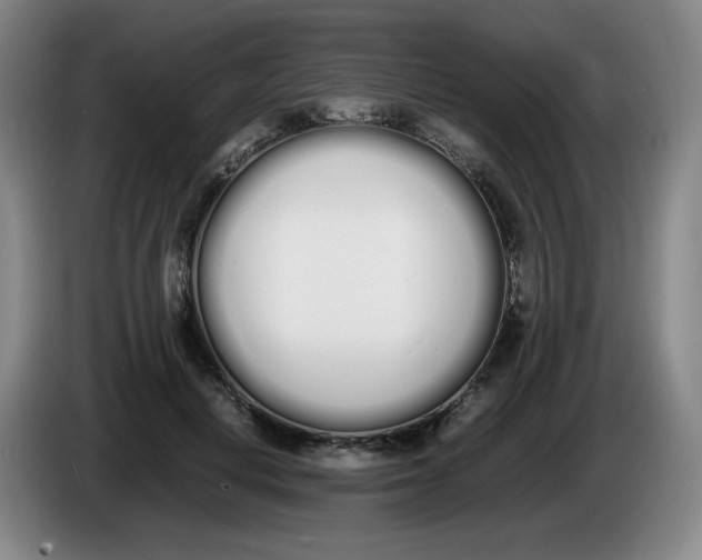 X0000086340648200704202102
