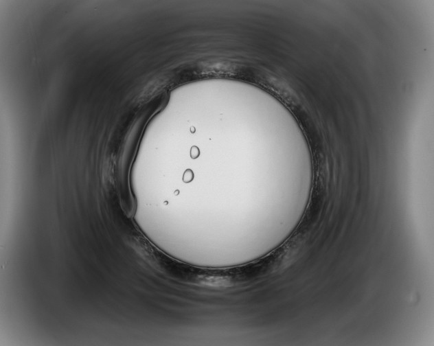 X0000086340649200704202102