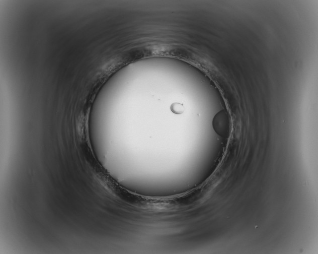 X0000086340650200704202102