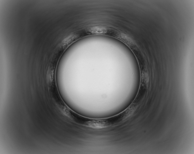 X0000086340652200704202102