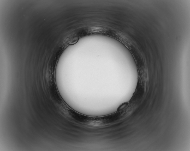 X0000086340653200704202102