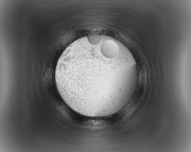 X0000086340654200704202102