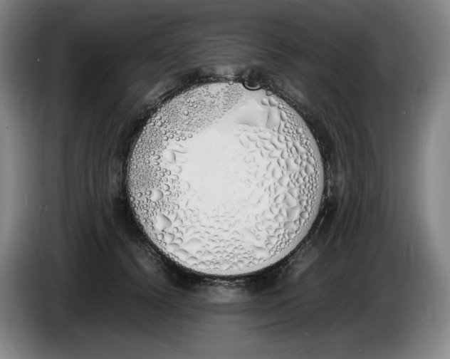 X0000086340656200704202102
