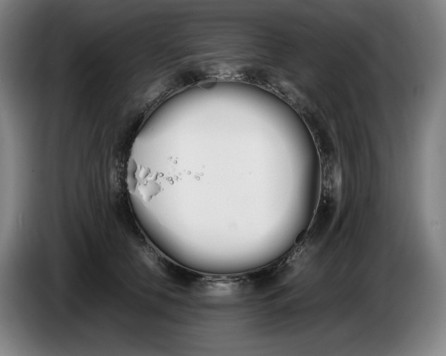 X0000086340658200704202102