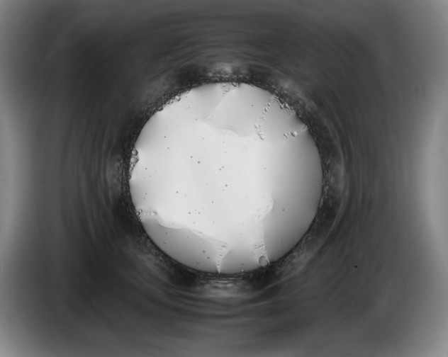 X0000086340659200704202102