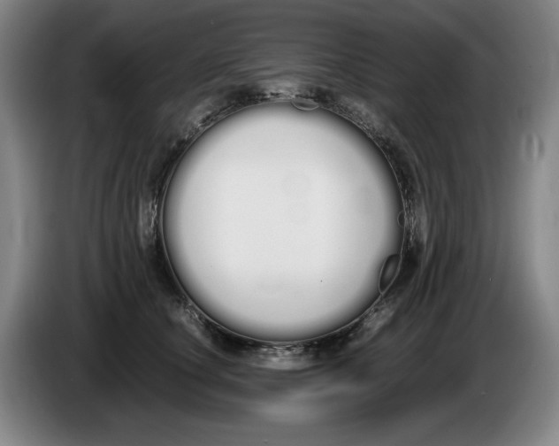 X0000086340660200704202102