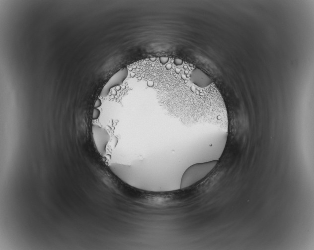 X0000086340662200704202102
