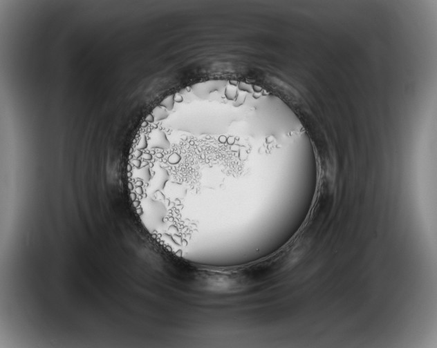 X0000086340663200704202102