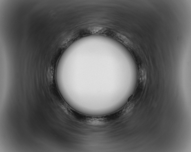X0000086340664200704202102